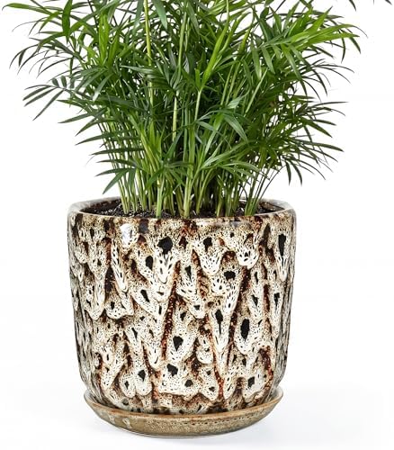 7.8 Inch Ceramic Plant Pot with Drainage Hole Mesh Net, Large Flower Pots for Indoor Plants with Saucer, Gardening Pots Outdoor by Unknown