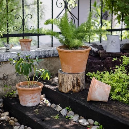 2/3 Pack Terracotta Planter, Breathable Clay Flower Pots, Red Clay Terracotta Plant Pots with Drainage, Indoor Outdoor Terracotta Flower Pot for Home Garden Plant Planting/12+16+20Cm - Image 4