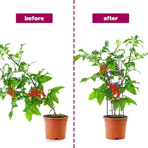 Chunful 10 Packs Tomato Cages for Garden Support up to 48", Purple - Image 6