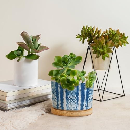 Animal Planters Ceramic White Blue Animal Strip Round Flower Pots with Drainage Holes and Bamboo Tray Pot for Indoor Outdoor Garden - Image 4