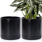 D'vine Dev 2-Pack Ceramic Pots with Saucers, Black, 10 in, 94-V-E-2 by DvineDevPlanterPotsandStand
