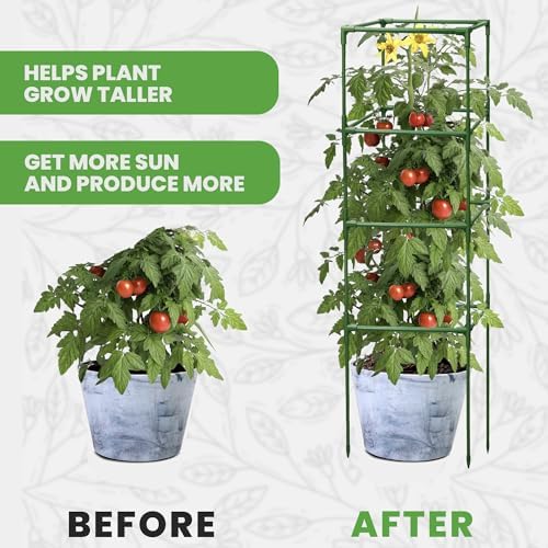 3 Pack 58" Square Tomato Cages for Garden - Large Tomato Trellis Stakes - Image 6