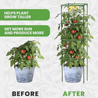 3 Pack 58" Square Tomato Cages for Garden - Large Tomato Trellis Stakes - Image 6