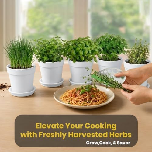47 PCS Herb Garden Seeds Starter Kit, 10 Non-GMO Culinary Herb Seeds with White Pots & Planters for Windowsill, Herb Growing Kit Indoor & Outdoor, Unique Herb Garden Gift Set for Gardening Lovers - Image 7