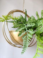 RISEON Boho Gold Metal Plant Hanger,Metal Geometric Hanging Planter, Modern Planter, Mid Century Air Plant Holder Stand, Minimalist Planter for Indoor Outdoor Home Wedding Decor (Gold) - Image 3