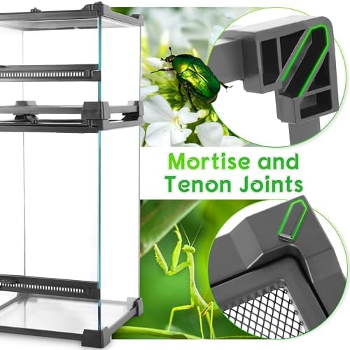 8"x8"x12" Reptile Terrarium, Single-Door Glass Arboreal Vivarium for Small Arboreal Lizards Such as Small Day Geckos, with Lock, Cable Port & Waterproof Deep Base Below Front Door - Image 2