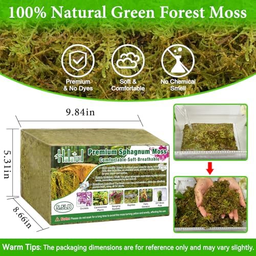 Halatool 5.5 LB Natural Green Forest Moss, Long Fiber Dried Sphagnum Moss - Image 2