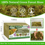 Halatool 5.5 LB Natural Green Forest Moss, Long Fiber Dried Sphagnum Moss - Image 2