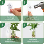 Baderke 6 Pcs Glass Wall Vase for Plants Indoor Hanging Propagation Planter Container Holder with Plastic Invisible Traceless Hangers Hydroponic Plant Succulent Garden Wedding Decor - Image 3