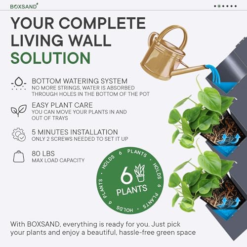 BOXSAND-6 (12"x26") Living Wall - Wall Planter, Vertical Garden for 6 Plants, Indoor/Outdoor, 2 Screws Install (White) - Image 3