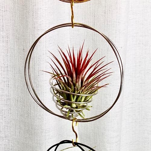 Air Plant Hanging Holder Planter - Plant Hanger Display Frame DIY Kit Aluminum Wire Indoors Outdoors Plants Not Included (Purple) - Image 2