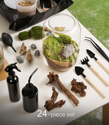 LuckyRunes Premium Terrarium Kit with Live Moss, 24-Piece Glass Set - Image 2