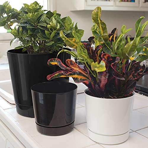 Novelty Majestic Full Depth Round Cylinder Pot, Glossy Black, 8-Inch (10088) (Pack of 2) - Image 6
