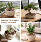 18lb Mix Lava Rocks for Plants 3/8" Horticultural Pumice for Plants, Succulent Cactus Soil Potting Mix - Horticultural Sand Aquarium Gravel Drainage Rocks for Potted Plant, Bonsai Soil, Top Dressing - Image 7