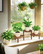 3 Tier Convex Corner Plant Stand Indoor, Adjustable Plant Shelf - Image 2