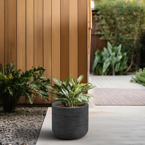 Kante Large Round Capsule Dark Gray Concrete Planter 13.8" Dia, Outdoor - Image 5