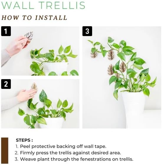 Treleaf Monstrella Wall Clips – Petite Size, Set of 5 Wooden Trellises for Indoor Climbing Plants – Self-Adhesive Plant Wall Fixtures to Create Green Walls – Perfect for Pothos & Vining Houseplants - Image 5