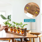 Plant Terrarium Hanging Propagation Stations Gift for Women - Image 2