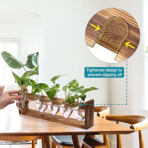 Plant Terrarium Hanging Propagation Stations Gift for Women - Image 2