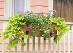 Achla Designs Medium Copper Flower Box with Wall Brackets - Image 3