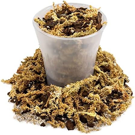 Premium Sphagnum Moss, Perlite and New Zealand Pine Bark Blend for Carnivorous Plants - 10 Quart - Perfect for Venus Fly Traps, Pitcher Plants, Sarracenia, Butterworts, and Sundews by GARDENERA - Image 4