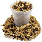 Premium Sphagnum Moss, Perlite and New Zealand Pine Bark Blend for Carnivorous Plants - 10 Quart - Perfect for Venus Fly Traps, Pitcher Plants, Sarracenia, Butterworts, and Sundews by GARDENERA - Image 4