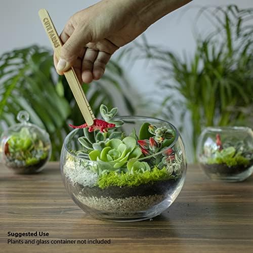 Cute Farms Terrarium Starter Kit | Moss, Vermiculite, Soil, Pebbles, Plant Food, Finishing Tools, Build and Care Guide | DIY Succulent Terrarium for Adults and Kids (Large) - Image 2