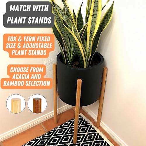 Fox & Fern Large Planter for Indoor or Outdoor, Matte Black, 8 Inch - Image 7