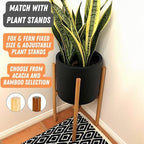 Fox & Fern Large Planter for Indoor or Outdoor, Matte Black, 8 Inch - Image 7
