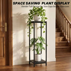 TOSKING 2-Tier Wide & Tall Plant Stand Indoor, Modern Metal Shelf, Black - Image 2