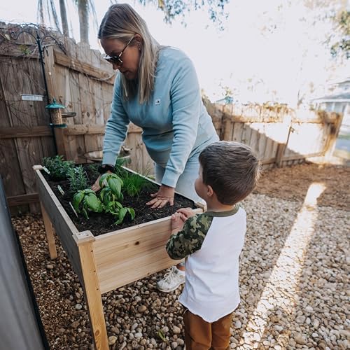 Backyard Expressions Wooden Raised Garden Bed|Elevated Planter Box with Included Bed Liner|Outdoor Vegetable, Flower, and Herb Gardening (4' x 2') - Image 4