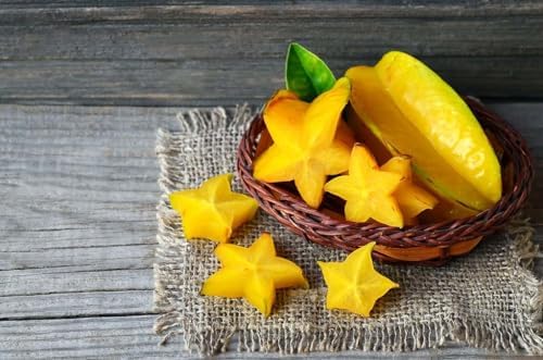 GARDENERA Premium Carambola Potting Soil Mix - Perfect Balance of Nutrients, Drainage, and Aeration for Thriving Starfruit Trees - 4 Quart - Image 2
