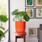 Indoor Planter 10 Inch - Ceramic Plant Pot with Drainage Hole and Saucer, Modern Decorative Round Planter for Indoor Outdoor Plants, Housewarming Gifts, Home Garden Office Decor, Orange - Image 5