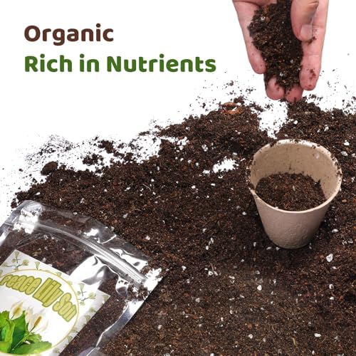 Doter Organic Peace Lily Soil Mix 10qt, Indoor Plants Potting Mix for Planting, Growing, or Repotting Peace Lily Plants, Grow Healthy houseplants Indoors - Image 2