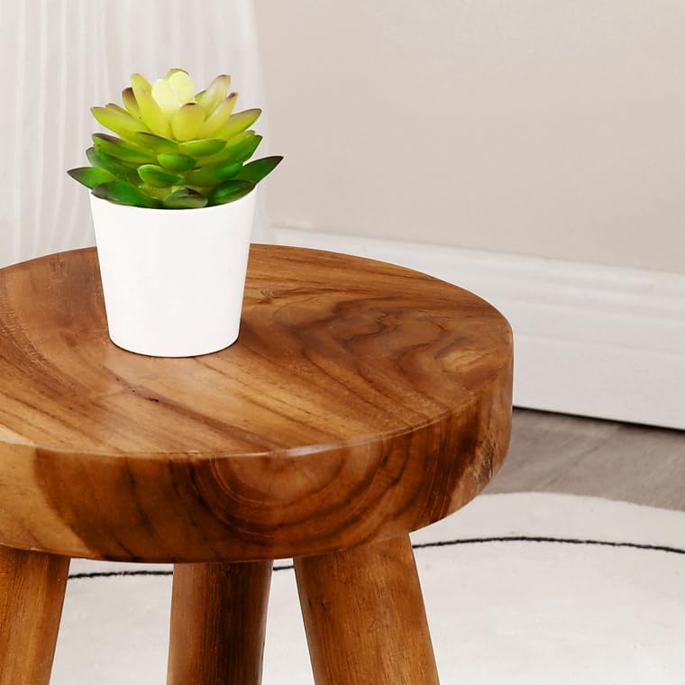Teak Wood 9" Round Plant Stand |Dip Dyed Plant Stand |Accent Stool |Milking Stool |Bath Stool |Small Side Table (16" Tall White) - Image 3
