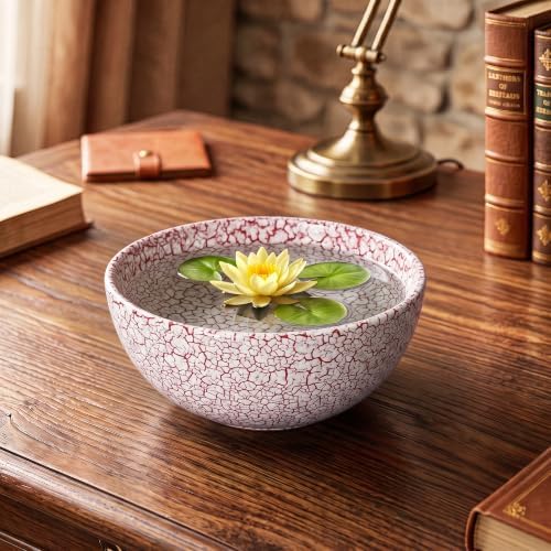 Bonsai Planter, 8 Inch Ceramic Succulents Planters, Texture Red - Image 4