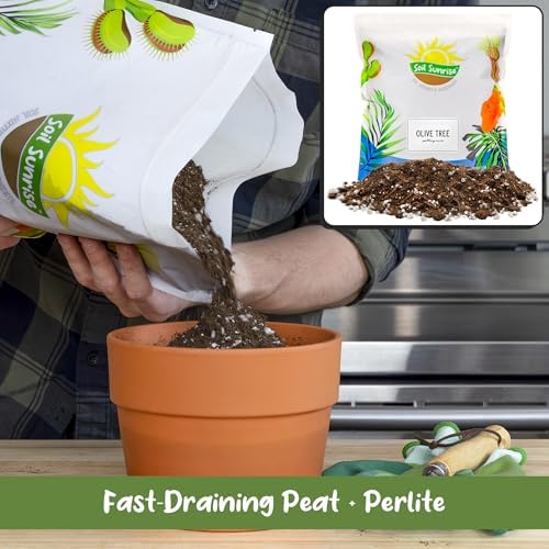 Soil Sunrise Olive Tree Potting Soil Mix (12 Quarts) for Planting, Repotting, and Growing Olive Bushes/Plants - Image 4