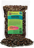 Gardenera Premium Monstera Potting Soil - Quick Drain Potting Soil for Growing and Repotting Monstera Deliciosa/Swiss Cheese Plant - 4 Quart Bag by Gardenera