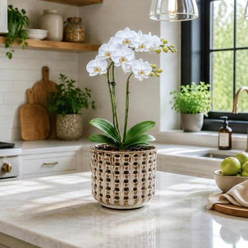 D'vine Dev 6.7 Inch Ceramic Orchid Planter with Lattice Cutout Design, Glazed Cachepot with Clear Nursery Pot & Detachable Saucer for Orchids and Indoor Plants, Stone Taupe, 28-A-Y-7 - Image 5