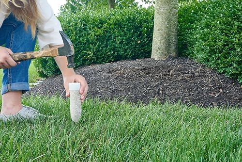 Miracle-Gro Plant Food Spikes, 2-Pack Bundle - Image 5