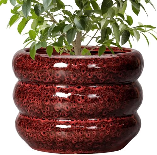 SQOWL 10 Inch Plant Pots - Ceramic Planter for Indoor Plants, Ceramic Plant Pot with Drainage Hole, Bubble Round Flower Pots Outdoor, Home Office Living Room Decor, Gifts for Plant Lover, Red by SQOWL