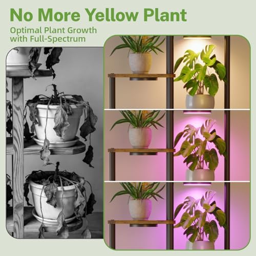 iDavosic.ly 6 Tier Plant Stand Indoor with Grow Lights, Black & Brown 49 In - Image 3