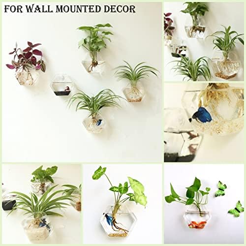 Kingbuy Hexagon Wall Planter Set - 3 Pack Glass Propagation Terrarium Vases with Hanging Mounts for Indoor Plants, Air Plants & Hydroponic Stations Home Office Decor, Plant Lover Gifts (Large) - Image 2