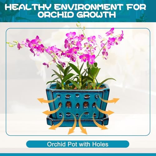 Teenyyou 7 Inch Ceramic Orchid Pot with Holes and Saucer Repotting,Blue - Image 4