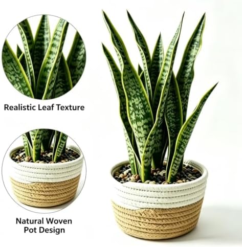 15"Artificial Snake Plant in Handwoven Rattan Planter Sansevieria Faux Indoor Branches with Lush Realistic Green Leaves Fake Potted Plants for Desk Living Room Office, Bedroom Home and Indoor Decor - Image 2