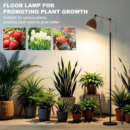 Grow Lights for Indoor Plants Full Spectrum, Plant Lights for Indoor Growing with 30W 4000k, 24H Timer, Standing Tall Grow Lamp for Middle Large Plants(72'', Height Adjustable) - Image 3