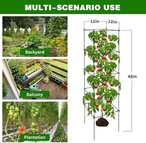 6 Packs Tomato Cages for Garden, 12"×12"×48" Plant Support Cage with Different Spacing, Green Metal Trellis for Climbing Plants Like Cucumber, Flowers - Image 7