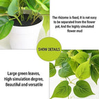 Tiita Artificial Pothos Plants in Pots, 2 Pack for Desk and Shelf Decor - Image 3
