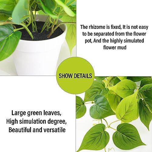 Tiita Artificial Pothos Plants in Pots, 2 Pack for Desk and Shelf Decor - Image 3