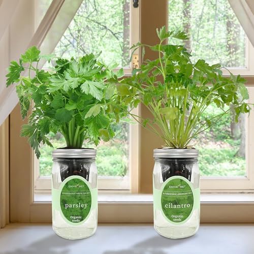 2-Pack Hydroponic Mason Jar Herb Garden Kit, Indoor Herb Garden Self-Watering Starter Kit (Parsley,Cilantro) - Image 6